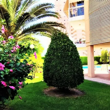 شقة With Pool And Garage *