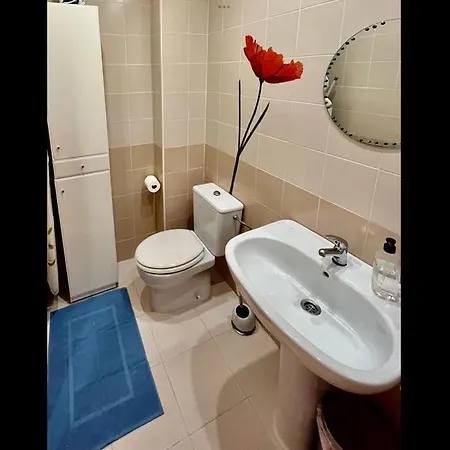 With Pool And Garage *